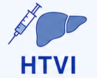 HTVI 모델