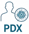 PDX 모델